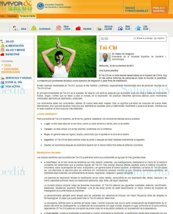 Cache grafica http://www.segg.es/pretema.asp?cod=21  