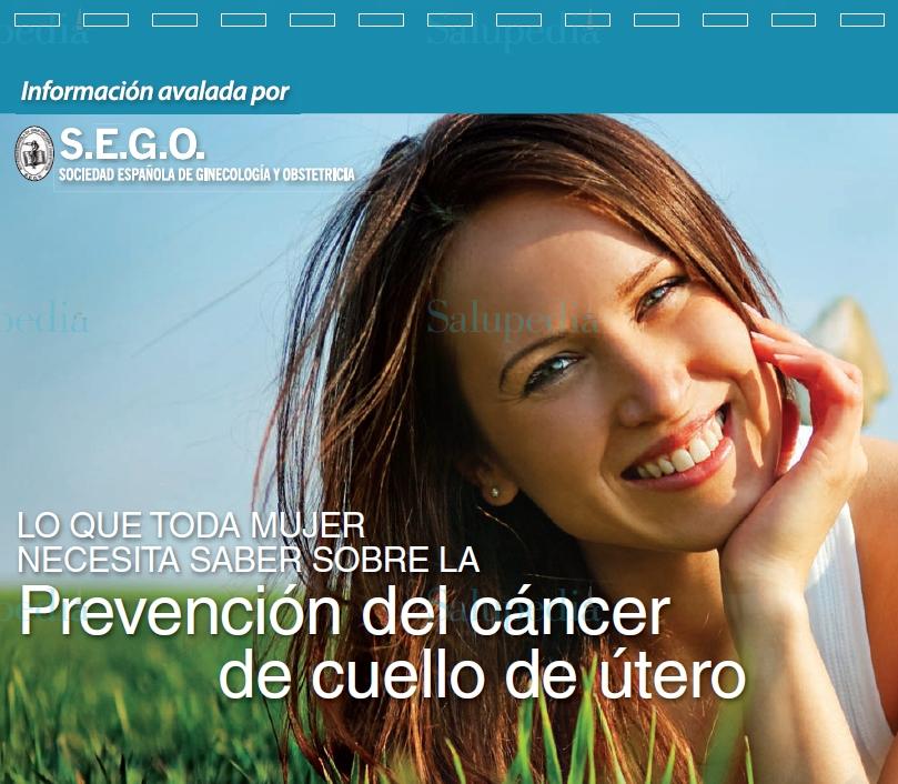 Cache grafica http://www.sego.es/Content/pdf/visualizador_largo.pdf  