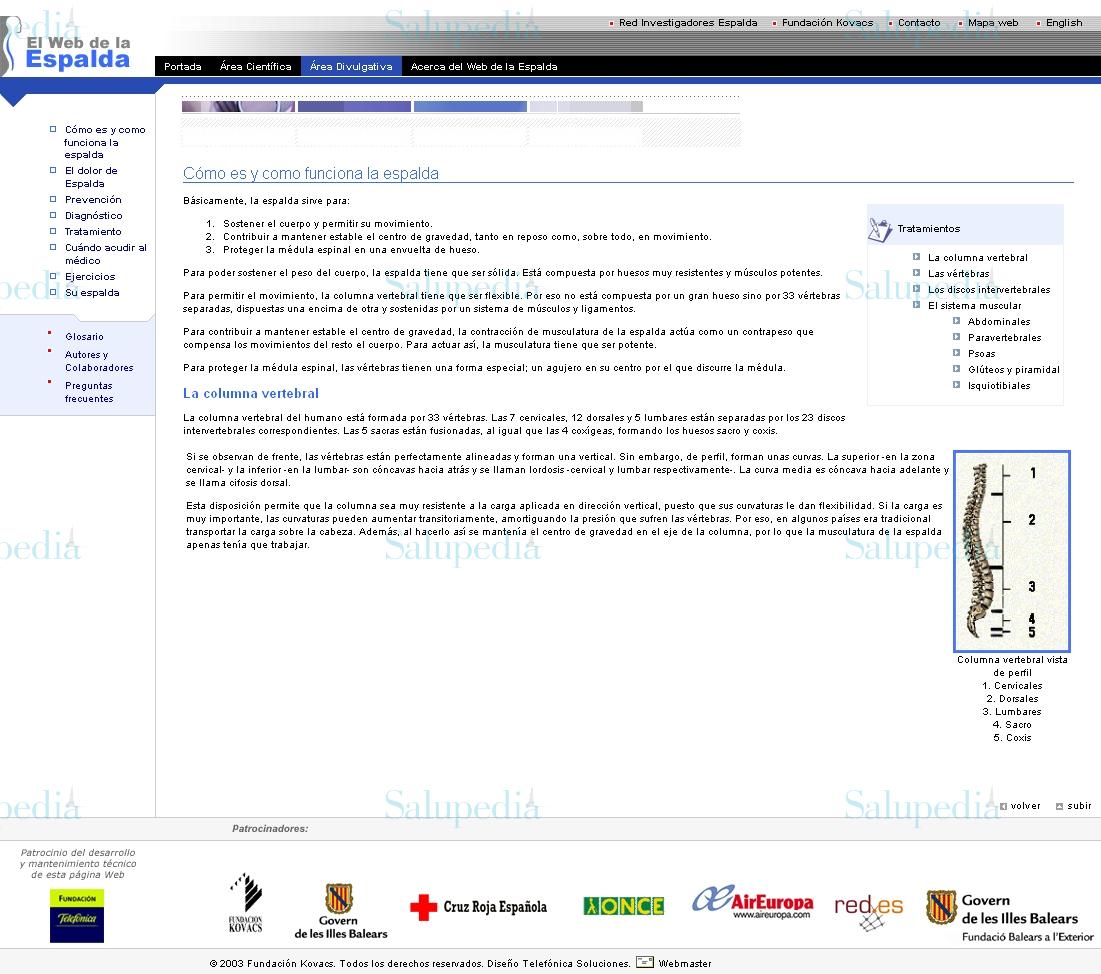 Cache grafica http://www.espalda.org/divulgativa/como_es_funciona/comoes.asp  