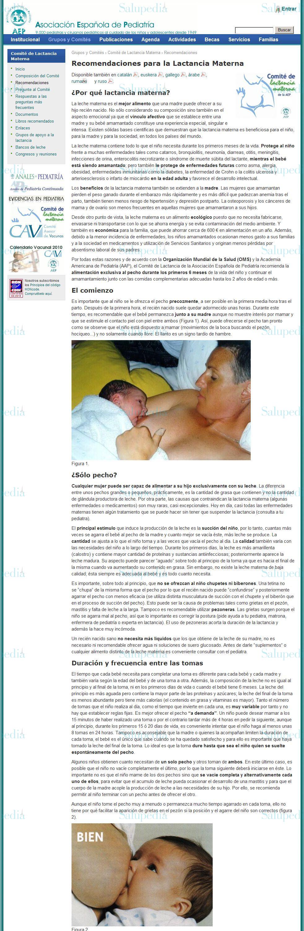 Cache grafica http://www.aeped.es/comite-lactancia-materna/recomendaciones  