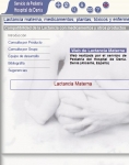 Captura de http://www.e-lactancia.org/espanol/inicio.asp