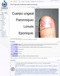 Captura de http://commons.wikimedia.org/wiki/File:Fingernail-Anatomia-externa-u%C3%B1a.png