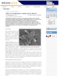 Captura de http://www.educared.net/educasalud/info/info_reportajes.asp?idr=89