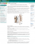 Captura de http://fisterra.com/Salud/1infoConse/lumbalgia.asp
