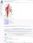Captura de http://commons.wikimedia.org/wiki/File:Anterior_Hip_Muscles_2-es.png