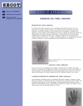 Captura de http://www.pulso.com/secot/25.htm