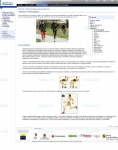 Captura de http://www.espalda.org/divulgativa/prevencion/higiene/deporte/footing.asp