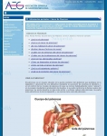 Captura de http://www.aegastro.es/aeg/ctl_servlet?_f=2&pident=46