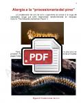 Captura de http://alergomurcia.com/pdf/Alergia_a_procesionaria_del_pino.pdf