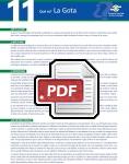 Captura de http://www.ser.es/ArchivosDESCARGABLES/Folletos/11.pdf