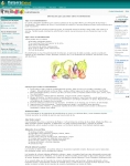 Captura de http://www.fisterra.com/salud/1infoconse/estrenimiento.asp